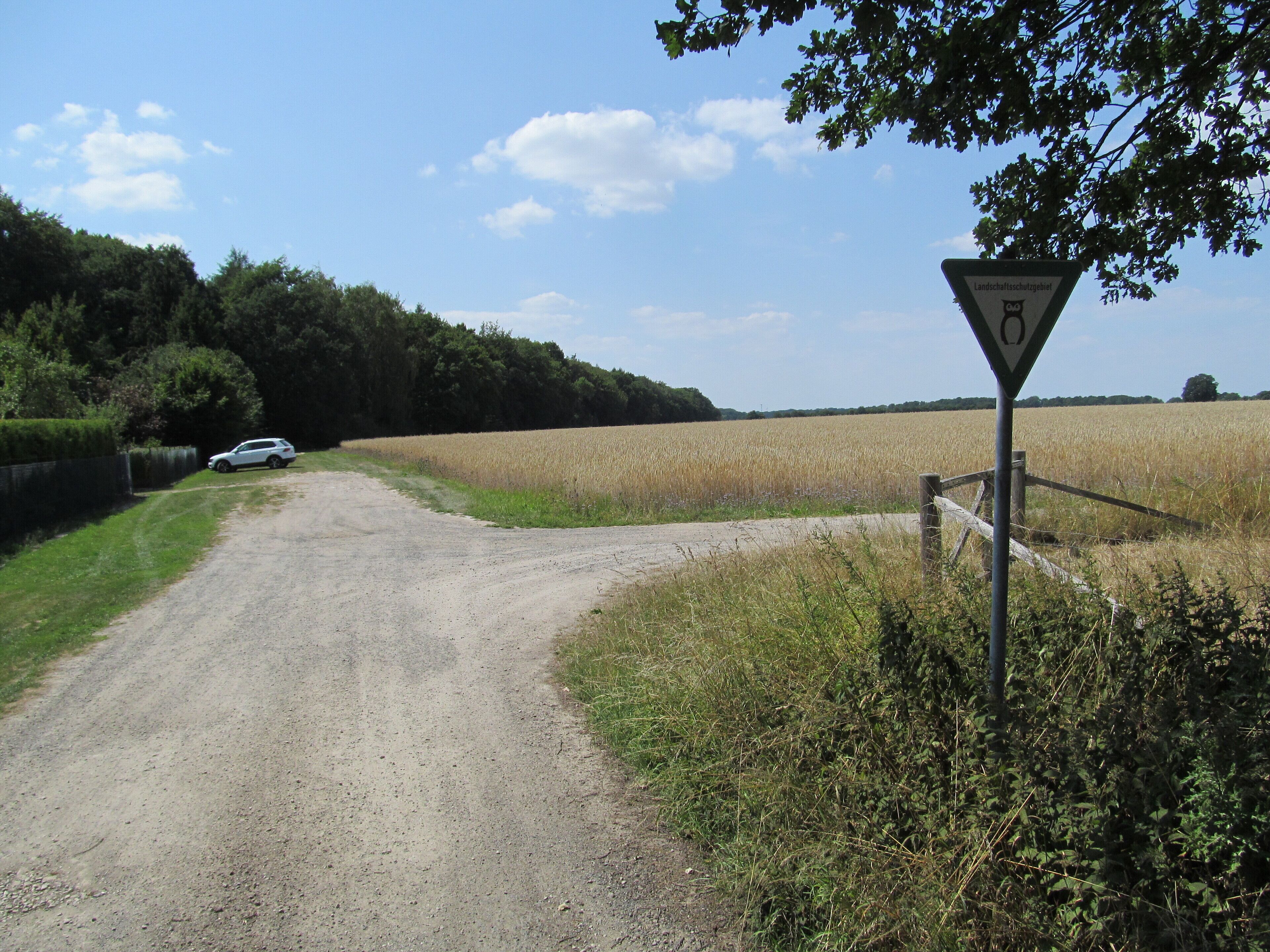 Feldweg am nordöstlichen Rand des Landschaftsschutzgebiets Lohnder-Almhorster Wald