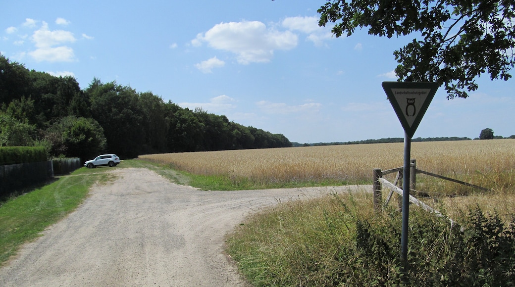 Feldweg am nordöstlichen Rand des Landschaftsschutzgebiets Lohnder-Almhorster Wald