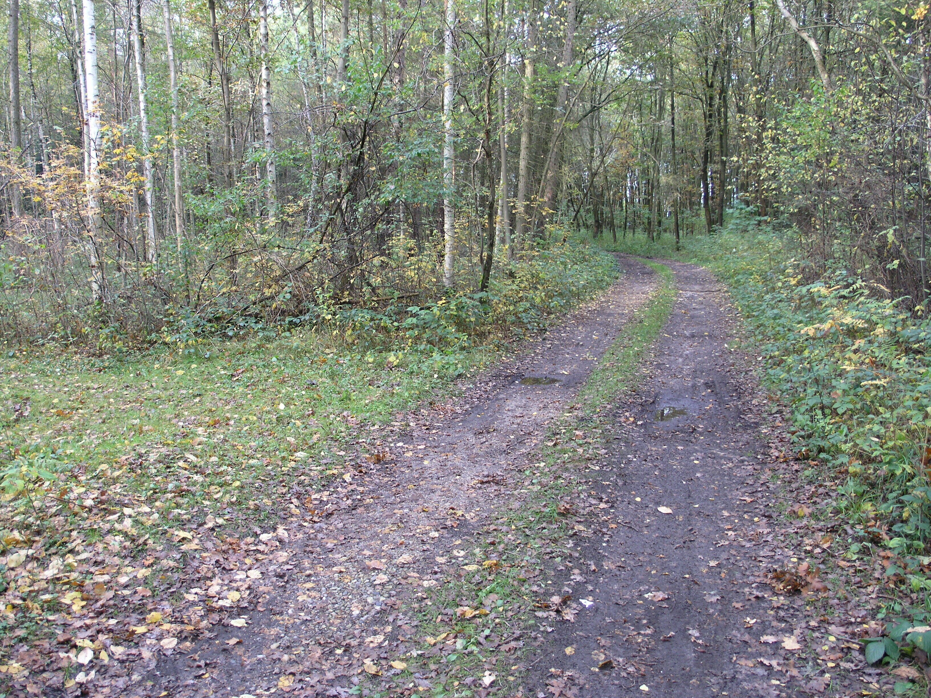 Filterberg 13.10.2013