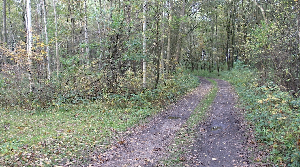 Filterberg 13.10.2013