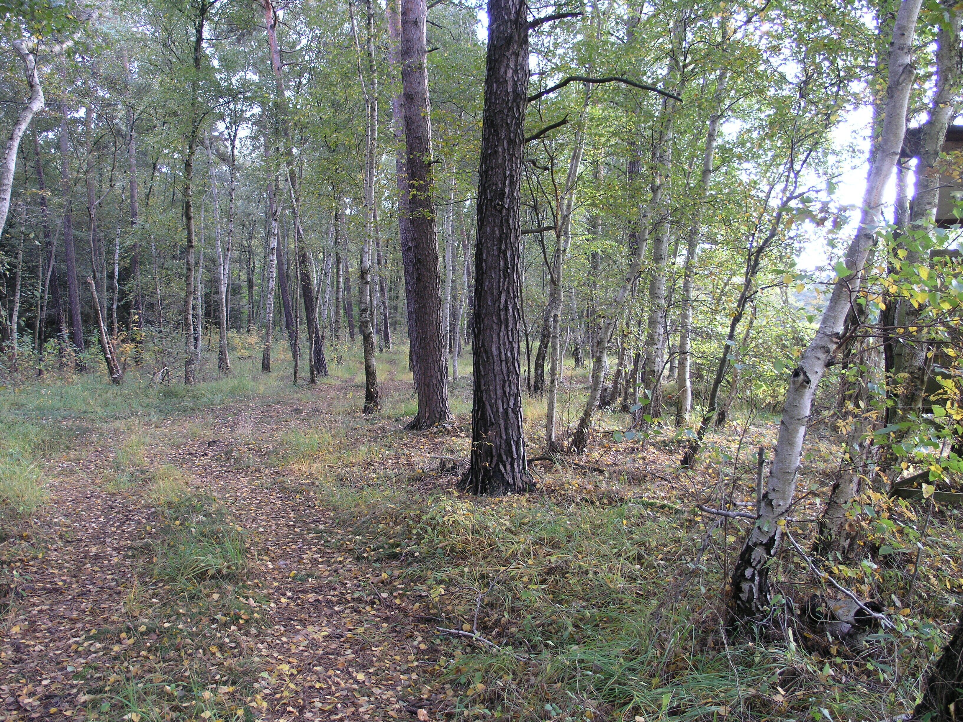 Filterberg 13.10.2013