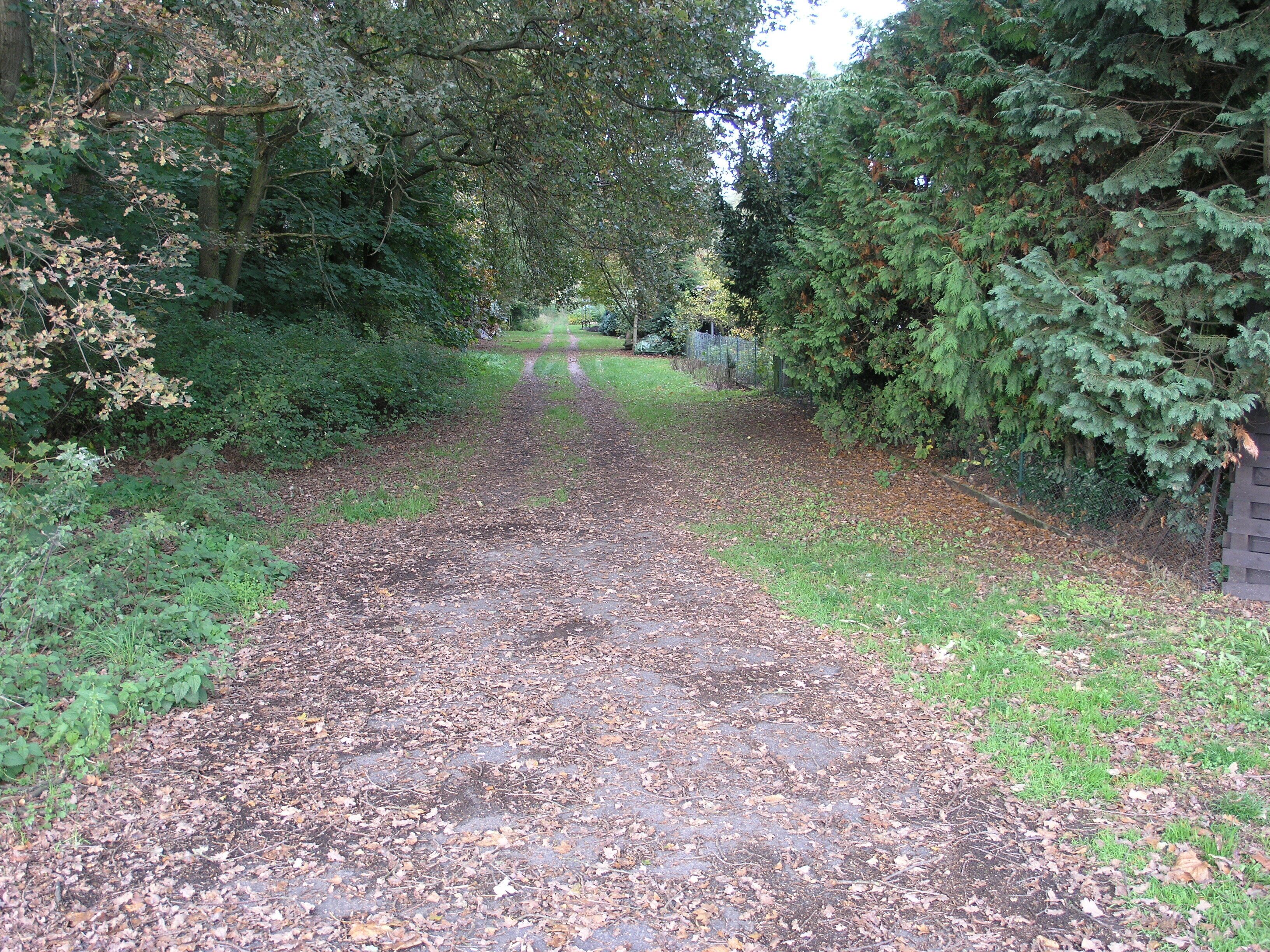 Filterberg 13.10.2013