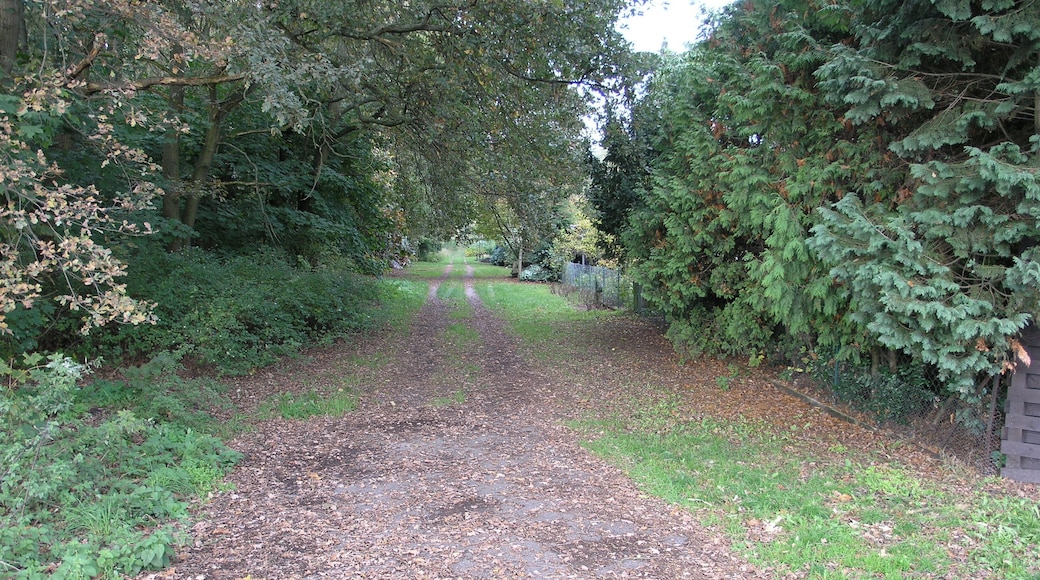 Filterberg 13.10.2013