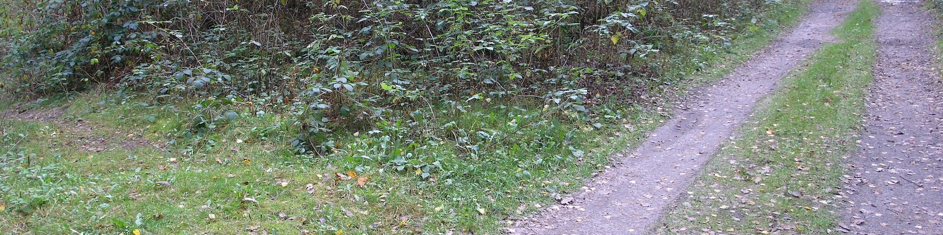 Filterberg 13.10.2013