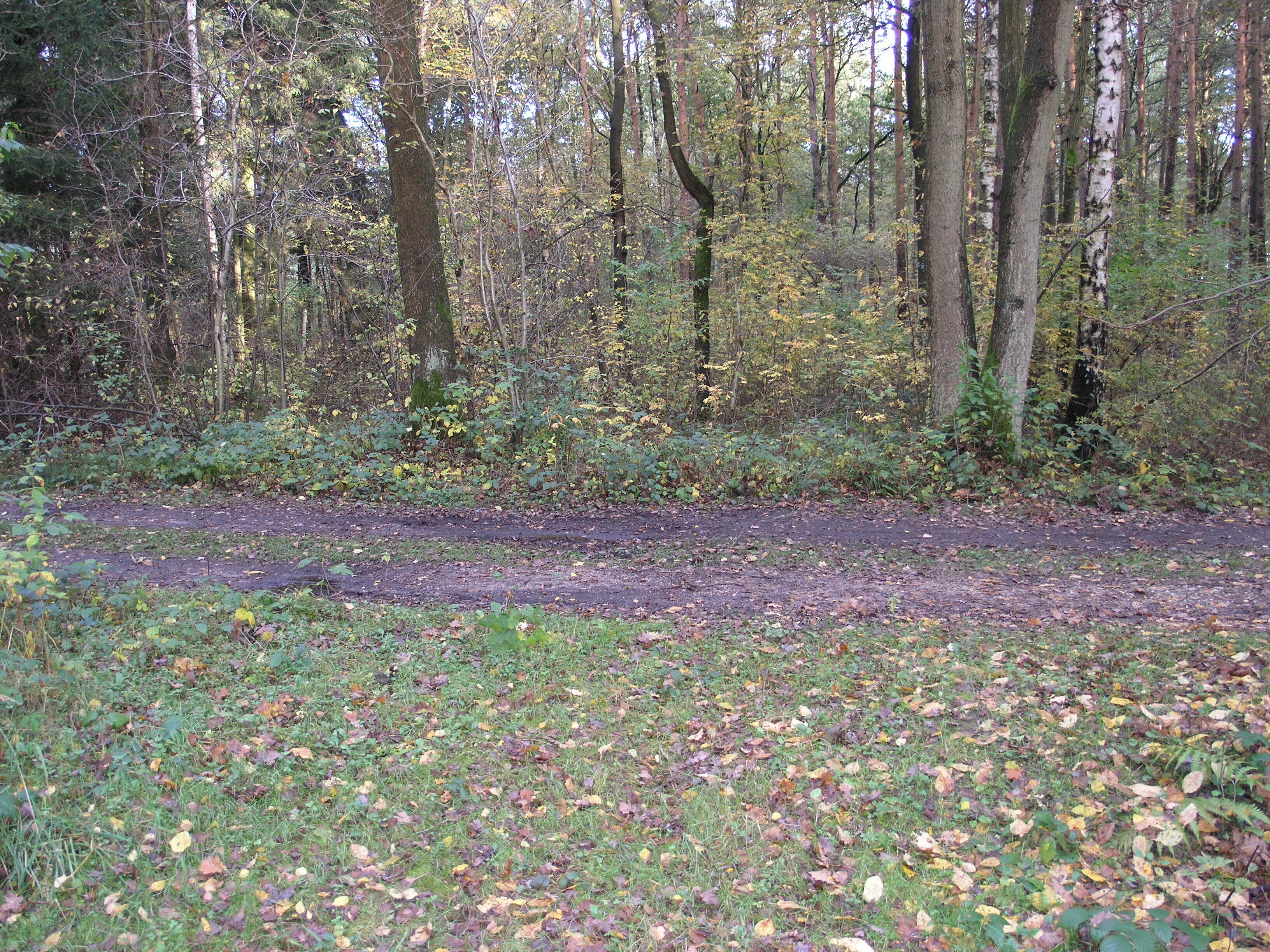 Filterberg 13.10.2013