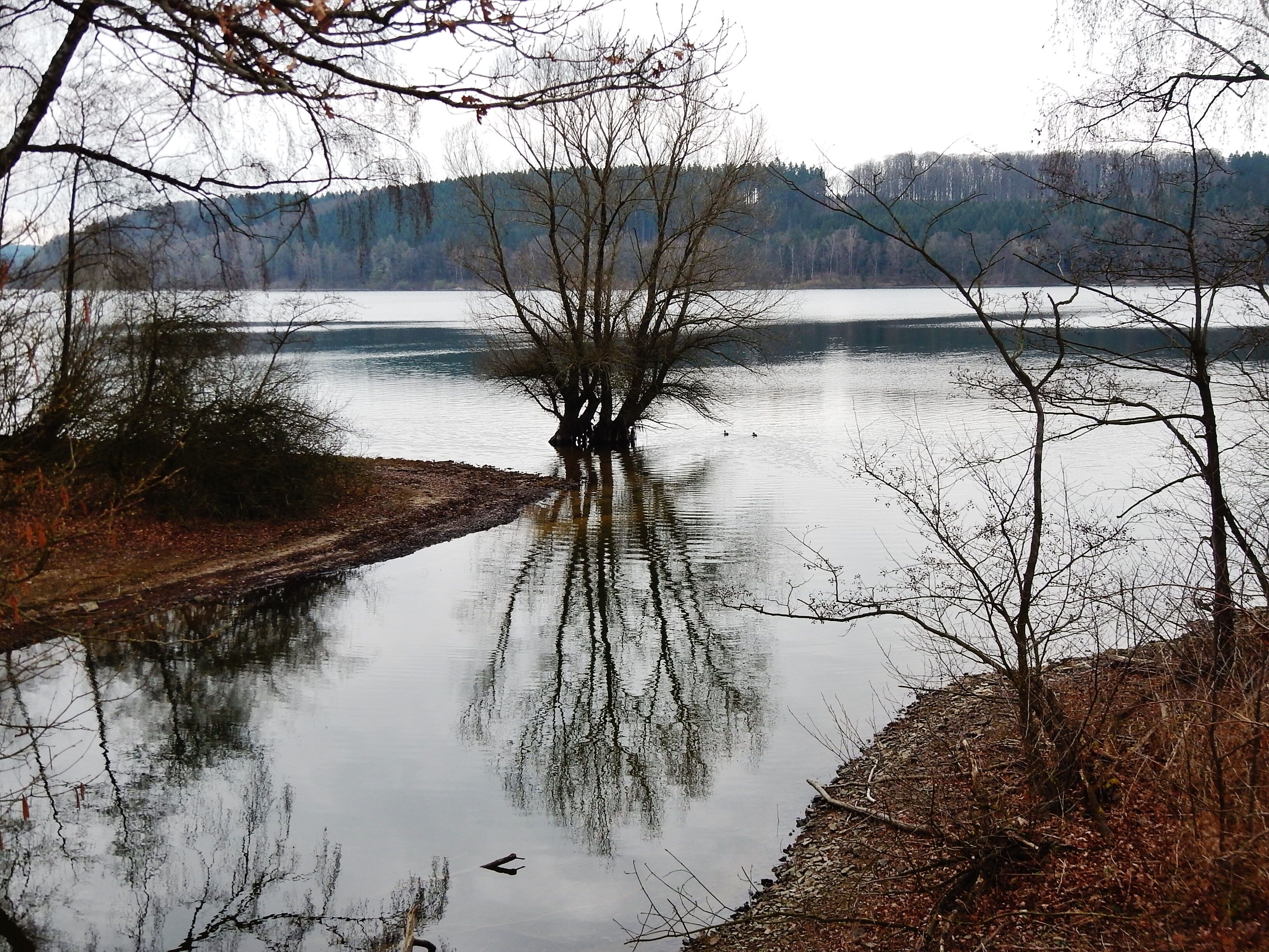 Hevesee, Naturschutzgebiet „Hevearm und Hevesee“