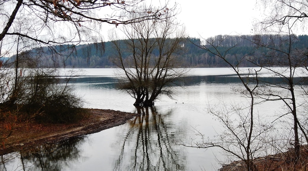 Hevesee, Naturschutzgebiet „Hevearm und Hevesee“