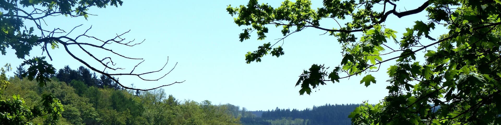 Möhnesee bei Delecke