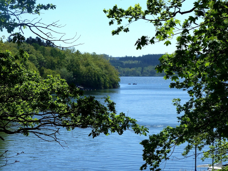 A lake surrounded by dense green forest.