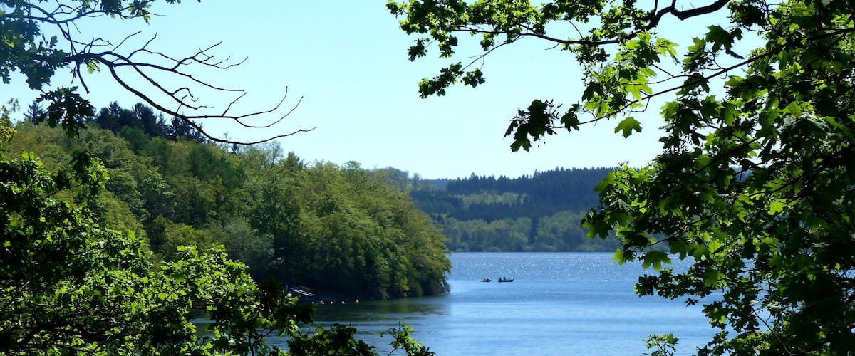 A lake surrounded by dense green forest.