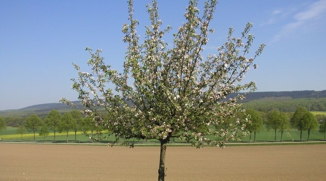 Vorwohle, Blick auf B64