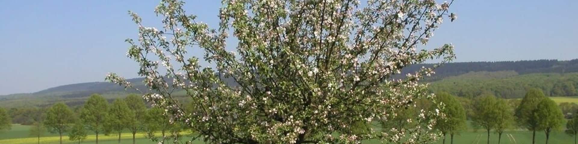 Vorwohle, Blick auf B64