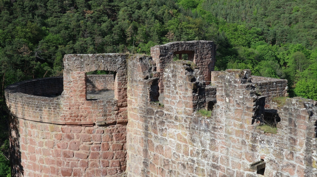 A historic stone fortification with multiple towers and walls, surrounded by dense forest.