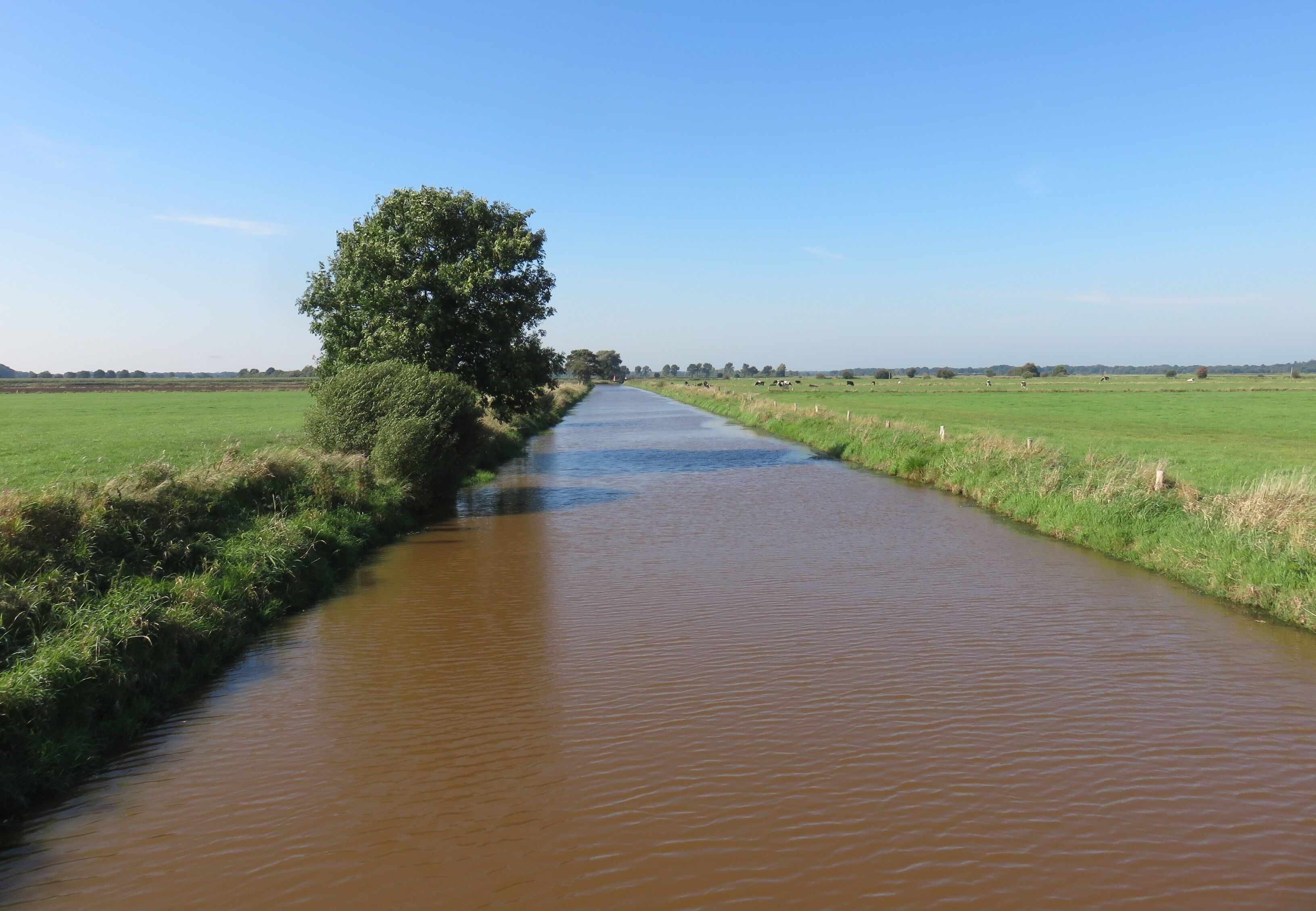 A narrow waterway flanked by green fields and a tree on the left.