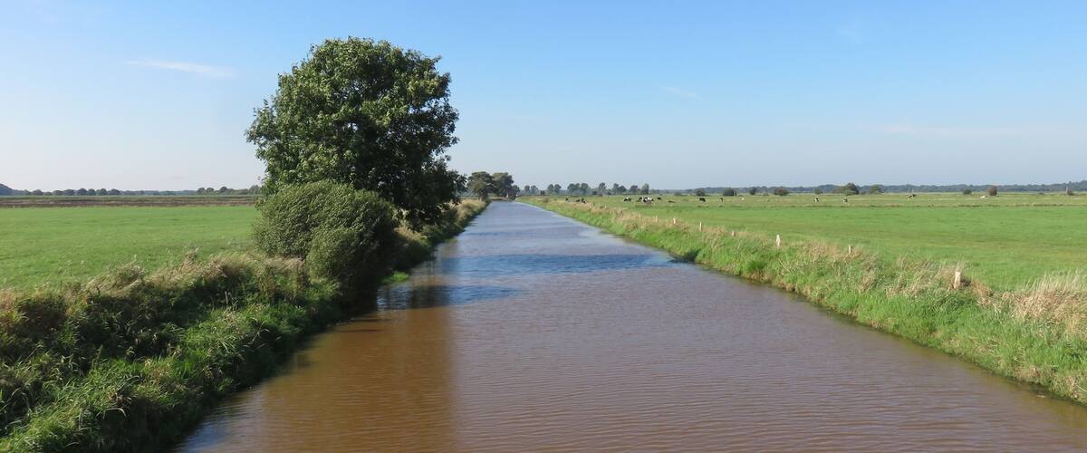 A narrow waterway flanked by green fields and a tree on the left.