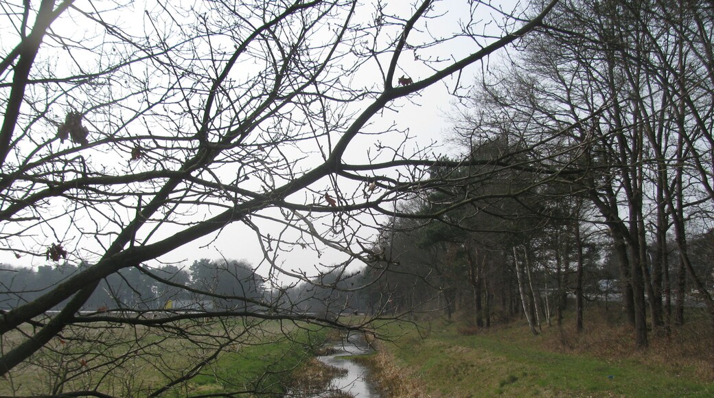der Johannisgraben oder Mühlengraben östlich der Autobahn bei Gailhof