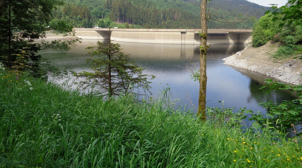 Blick von Südosten auf die Okertalsperre.