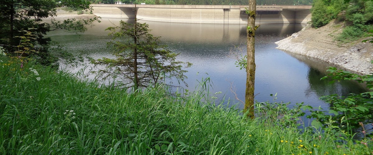 A river with a dam and surrounding greenery.