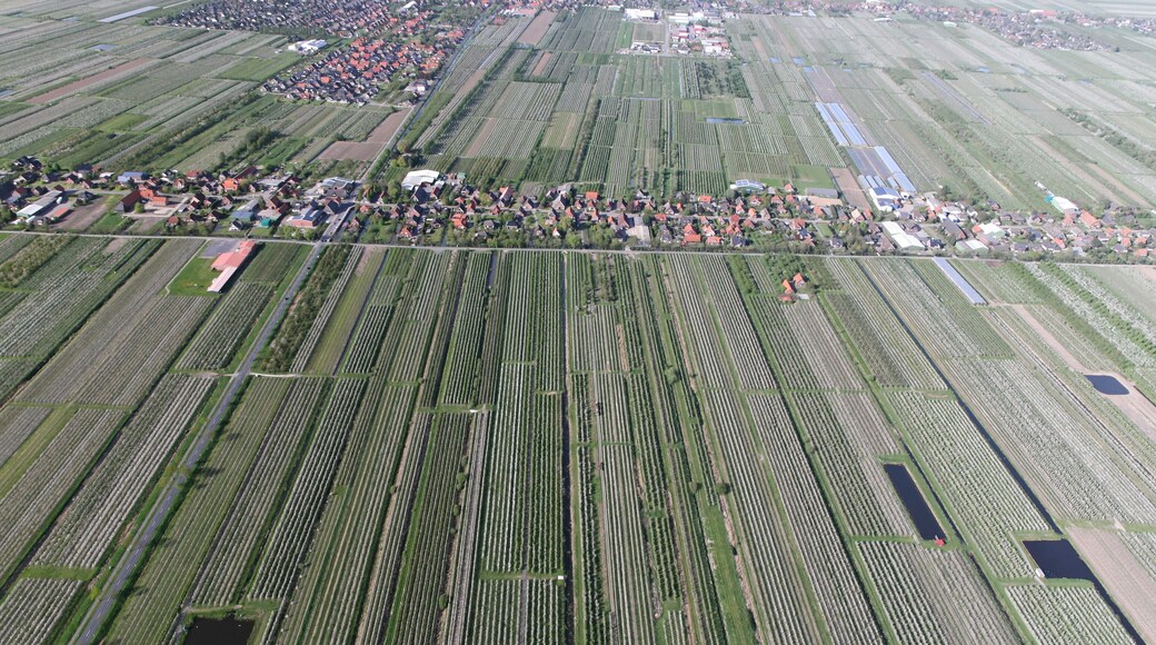 Luftaufnahme: in der Mitte der Ortsteil Ladekop von Jork, Jork im Hintergrund