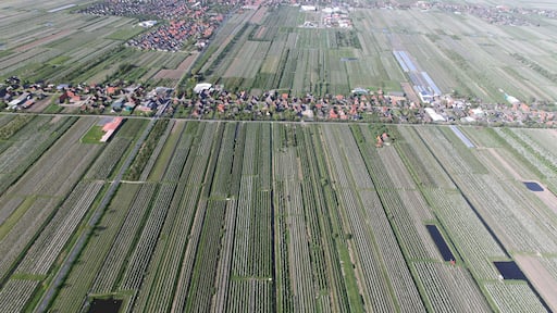 Luftaufnahme: in der Mitte der Ortsteil Ladekop von Jork, Jork im Hintergrund