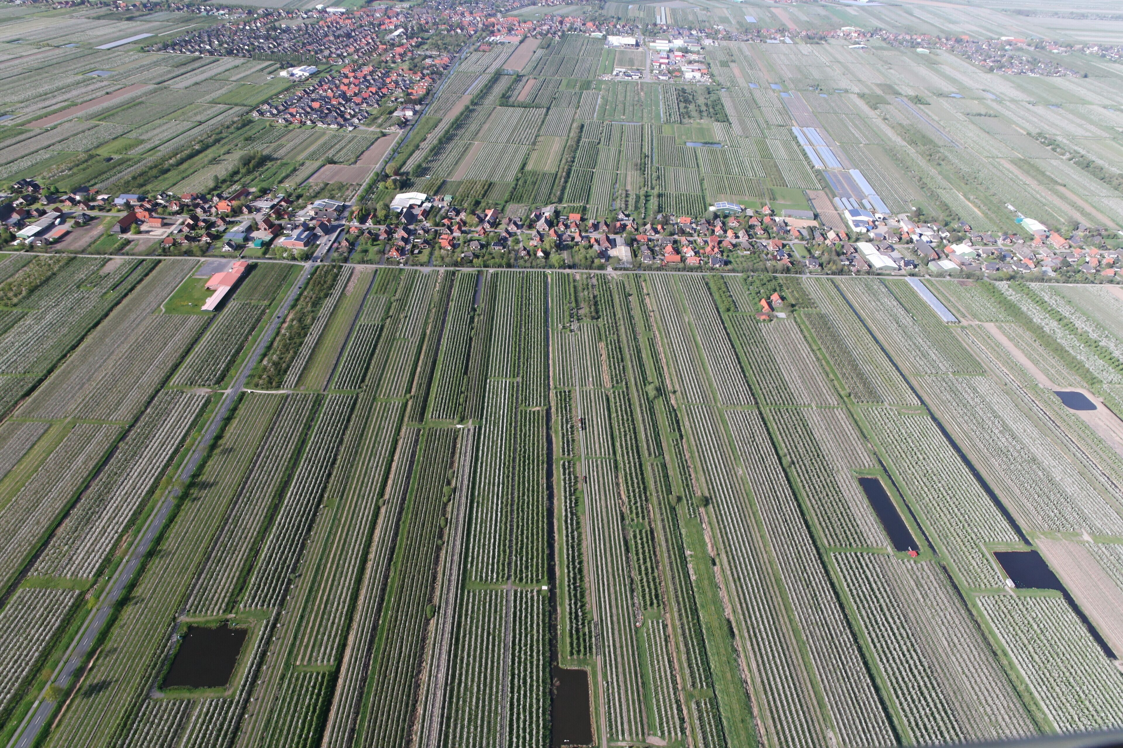 An aerial view of a rural area with organized agricultural fields, a small village, and a large water body.