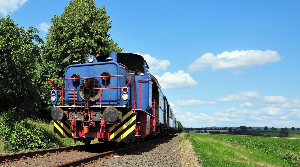 The Maschinenbau Kiel in Kiel, Germany made 1966 this diesel locomotive MaK G 320 B ex No. 220083. The locomotive has the name HAW 9 and belongs to the HAW Linings GmbH in Bornum. Sometimes pulls the locomotive this Heritage railway in Northern Germany.