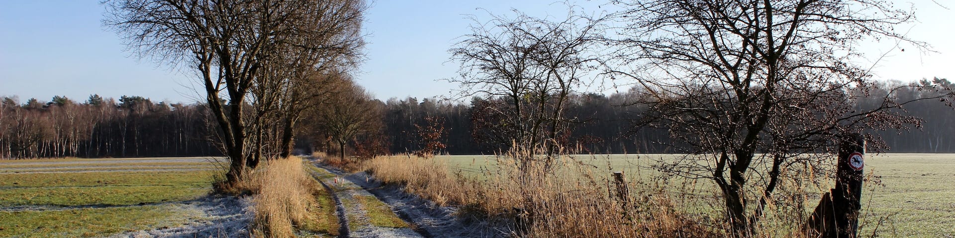 Landschaftsschutzgebiet Oldhorster Moor (LSG-H46): Nicht nur das Moor selbst (Blick nach Osten, im Hintergrund ist der Moorwald zu sehen), sondern auch die umgebenden Grünflächen, hier Pferdekoppeln, stehen unter Landschaftsschutz.