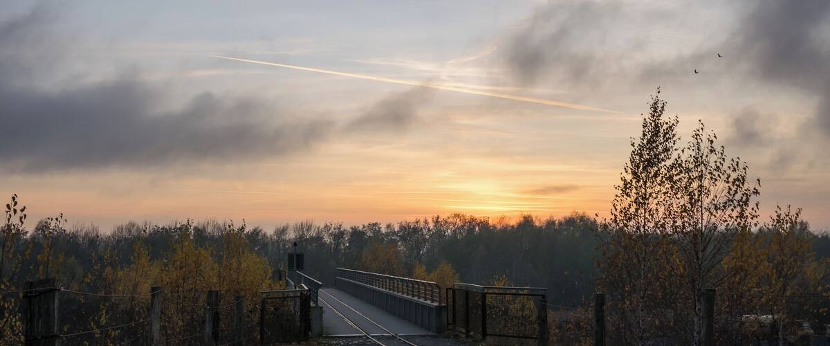 A railway track curving through a wooded area with a bridge in the distance.