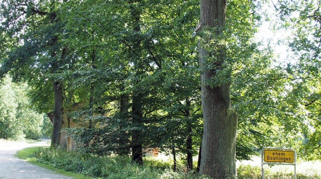 ehemaliges Dorf Böstlingen (Heidmark)