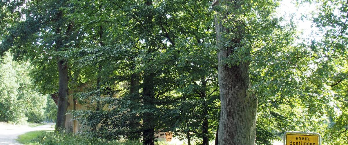 ehemaliges Dorf Böstlingen (Heidmark)