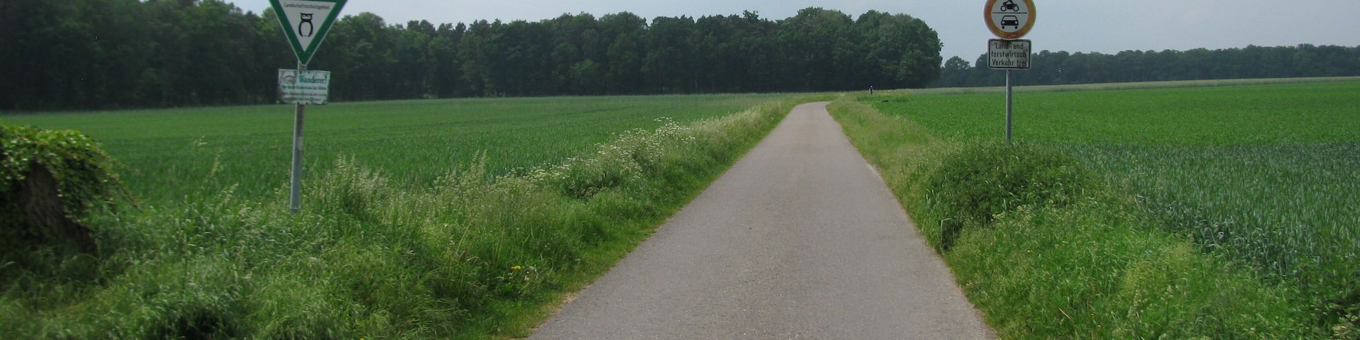 der Wiechendorfer Weg in Schlage-Ickhorst am Rande des Landschaftsschutzgebiets Ellernbruch