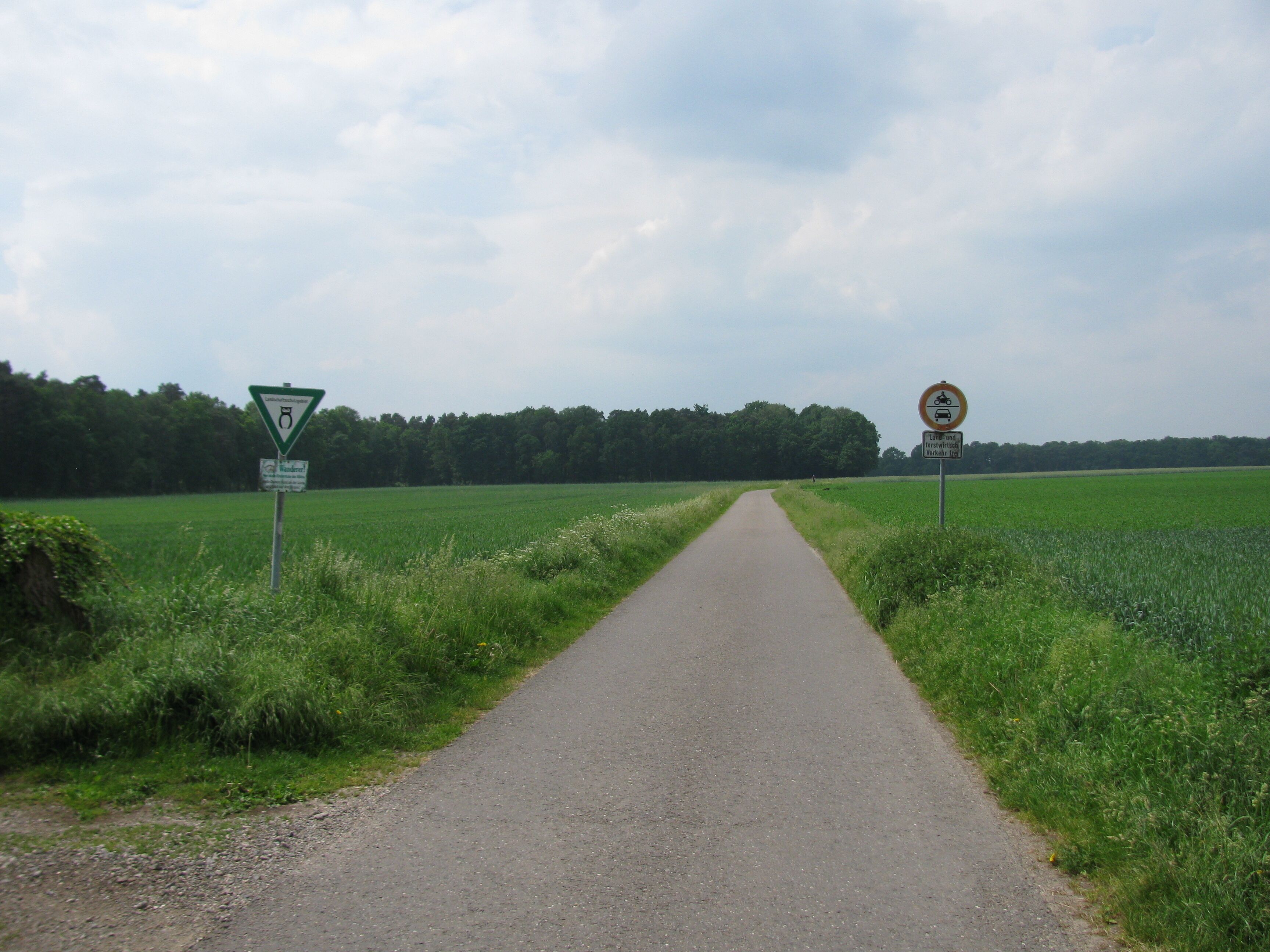 A rural road flanked by fields and signs indicating a weight limit and no parking.