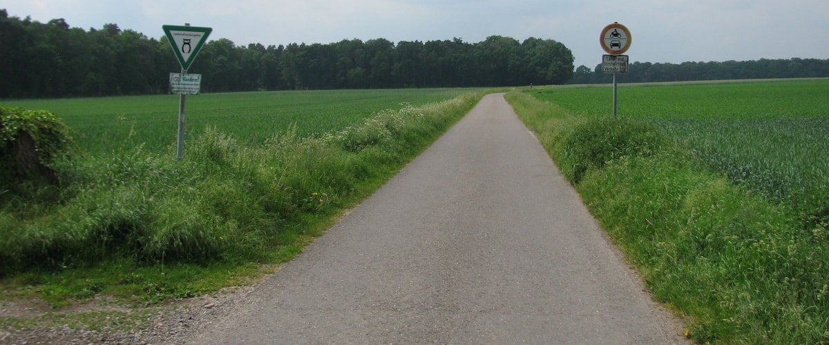 A rural road flanked by fields and signs indicating a weight limit and no parking.
