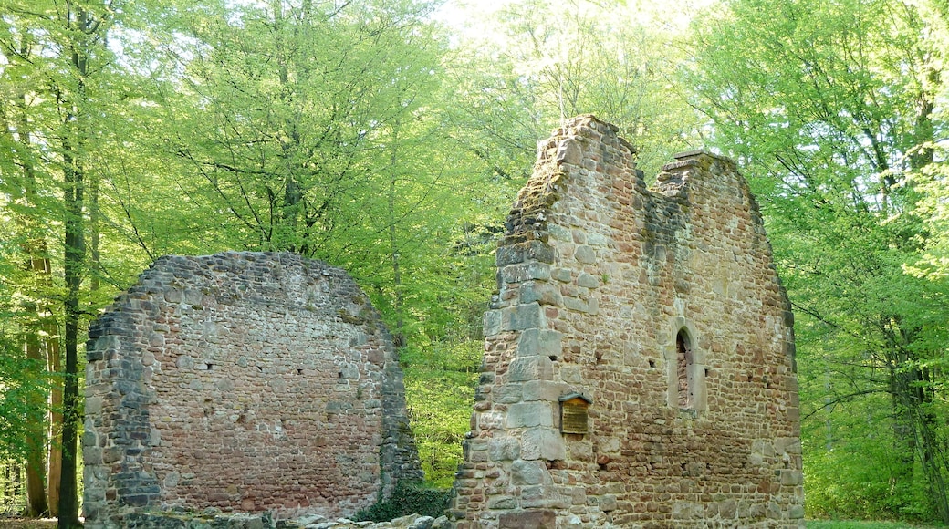 Kirchenruine der Wüstung Leisenberg im Gillersheimer Wald nahe Sudershausen, Südniedersachsen. Erbaut um 1300