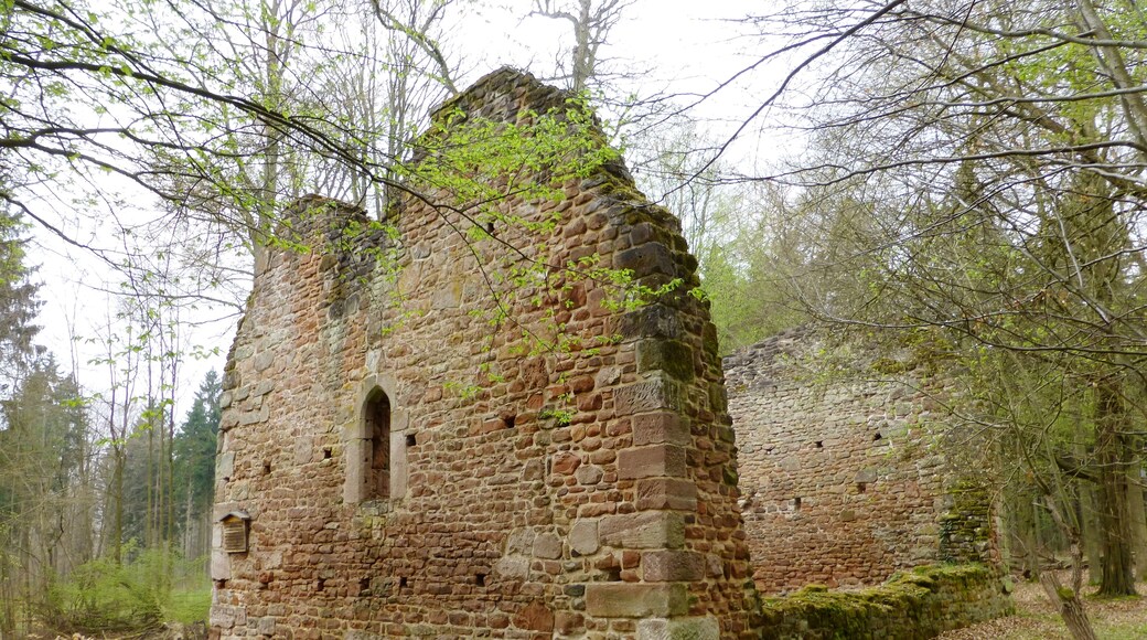 Kirchenruine der Wüstung Leisenberg im Gillersheimer Wald nahe Sudershausen, Südniedersachsen. Erbaut um 1300