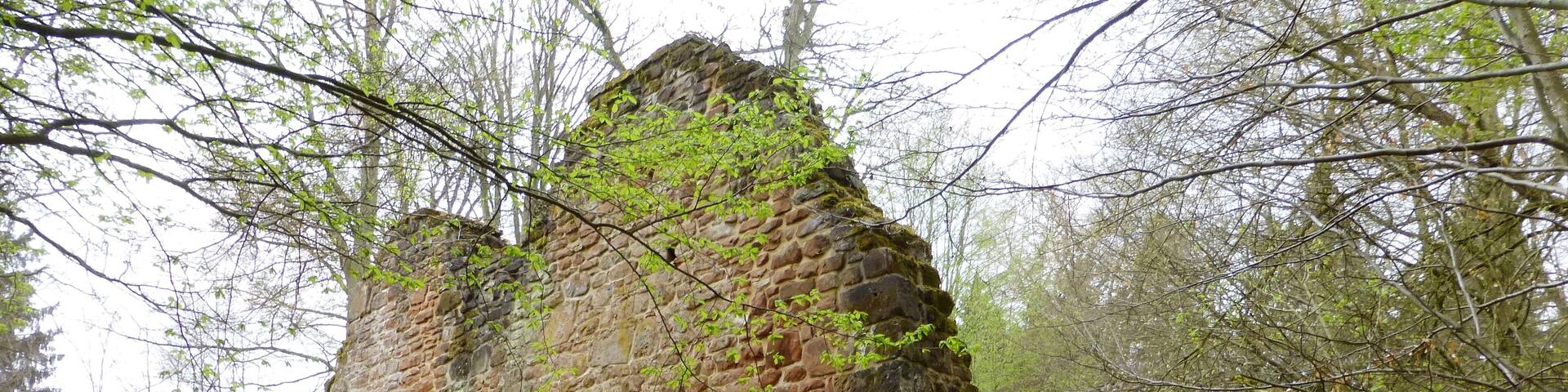 Kirchenruine der Wüstung Leisenberg im Gillersheimer Wald nahe Sudershausen, Südniedersachsen. Erbaut um 1300