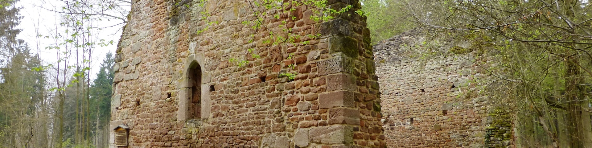 Kirchenruine der Wüstung Leisenberg im Gillersheimer Wald nahe Sudershausen, Südniedersachsen. Erbaut um 1300