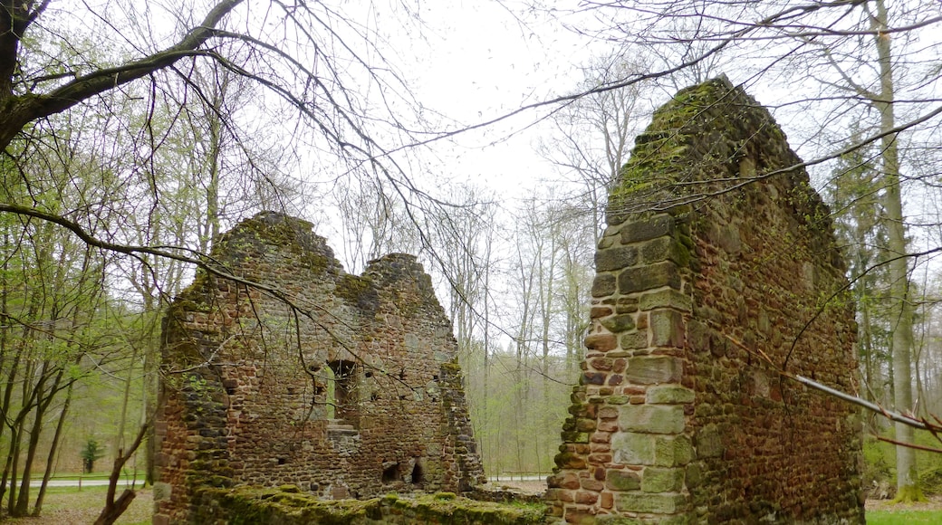 Kirchenruine der Wüstung Leisenberg im Gillersheimer Wald nahe Sudershausen, Südniedersachsen. Erbaut um 1300