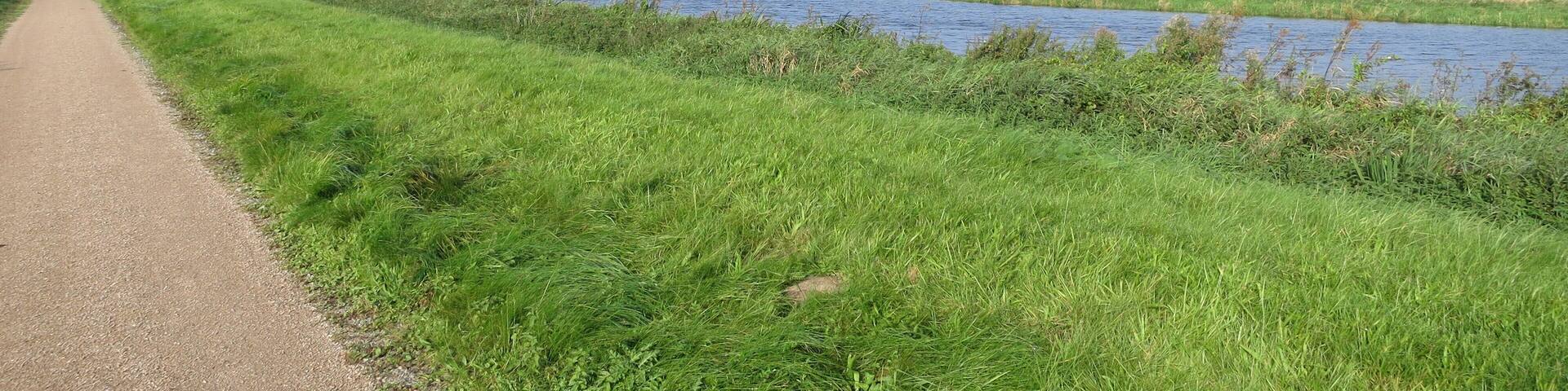 Die Hamme von der Worpsweder Flussseite aus gesehen