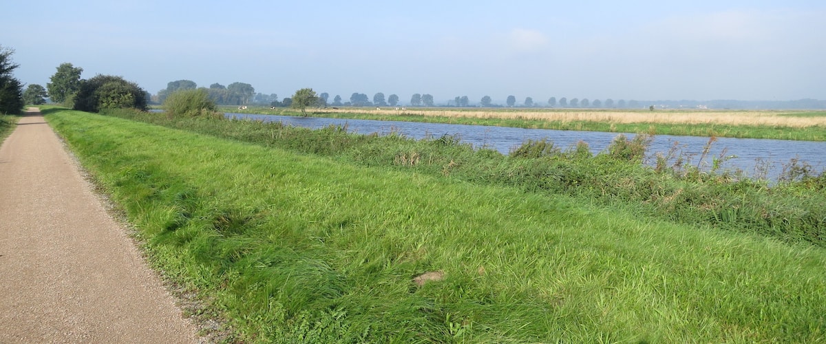 A rural landscape with a gravel path, a river, and fields.