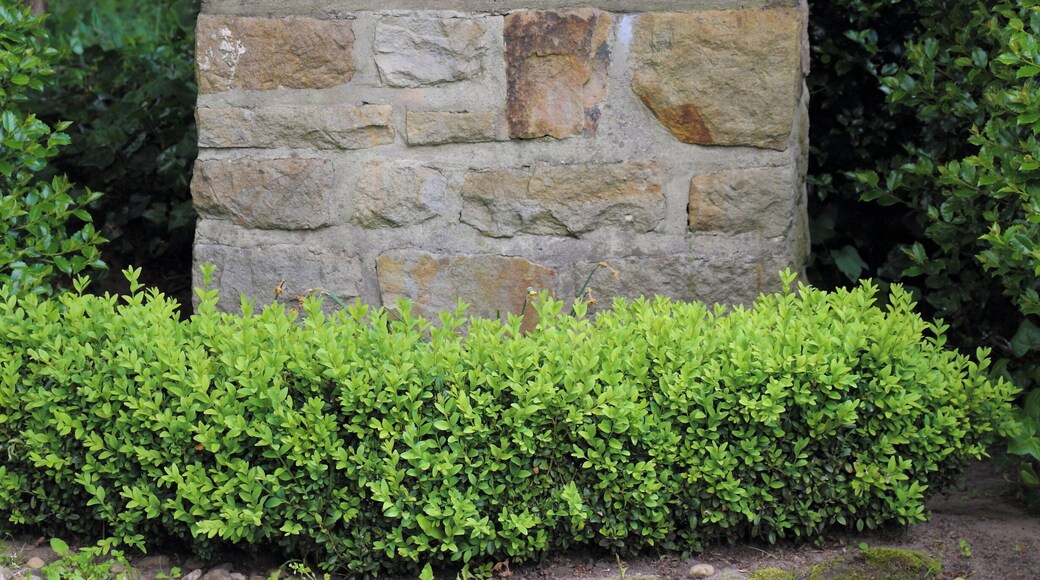 The Hilgenstieb, a wayside shrine between Voltlage and Höckel, Samtgemeinde Neuenkirchen, Landkreis Osnabrück, Lower Saxony, Germany. The shrine with a relief depicting the Holy Family was erected in 1749 and restored in 1997.