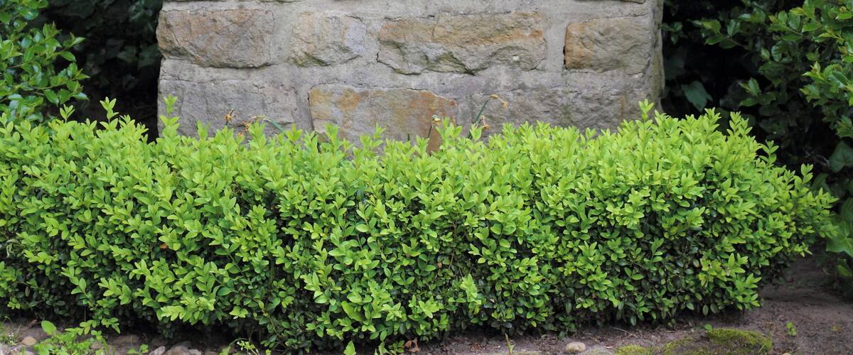 The Hilgenstieb, a wayside shrine between Voltlage and Höckel, Samtgemeinde Neuenkirchen, Landkreis OsnabrĂŒck, Lower Saxony, Germany. The shrine with a relief depicting the Holy Family was erected in 1749 and restored in 1997.