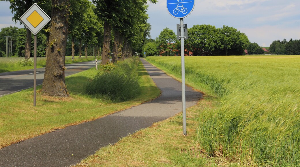 Furstenau Street (Fürstenauer Straße) between Voltlage and Höckel, Samtgemeinde Neuenkirchen, Landkreis Osnabrück, Lower Saxony, Germany.
