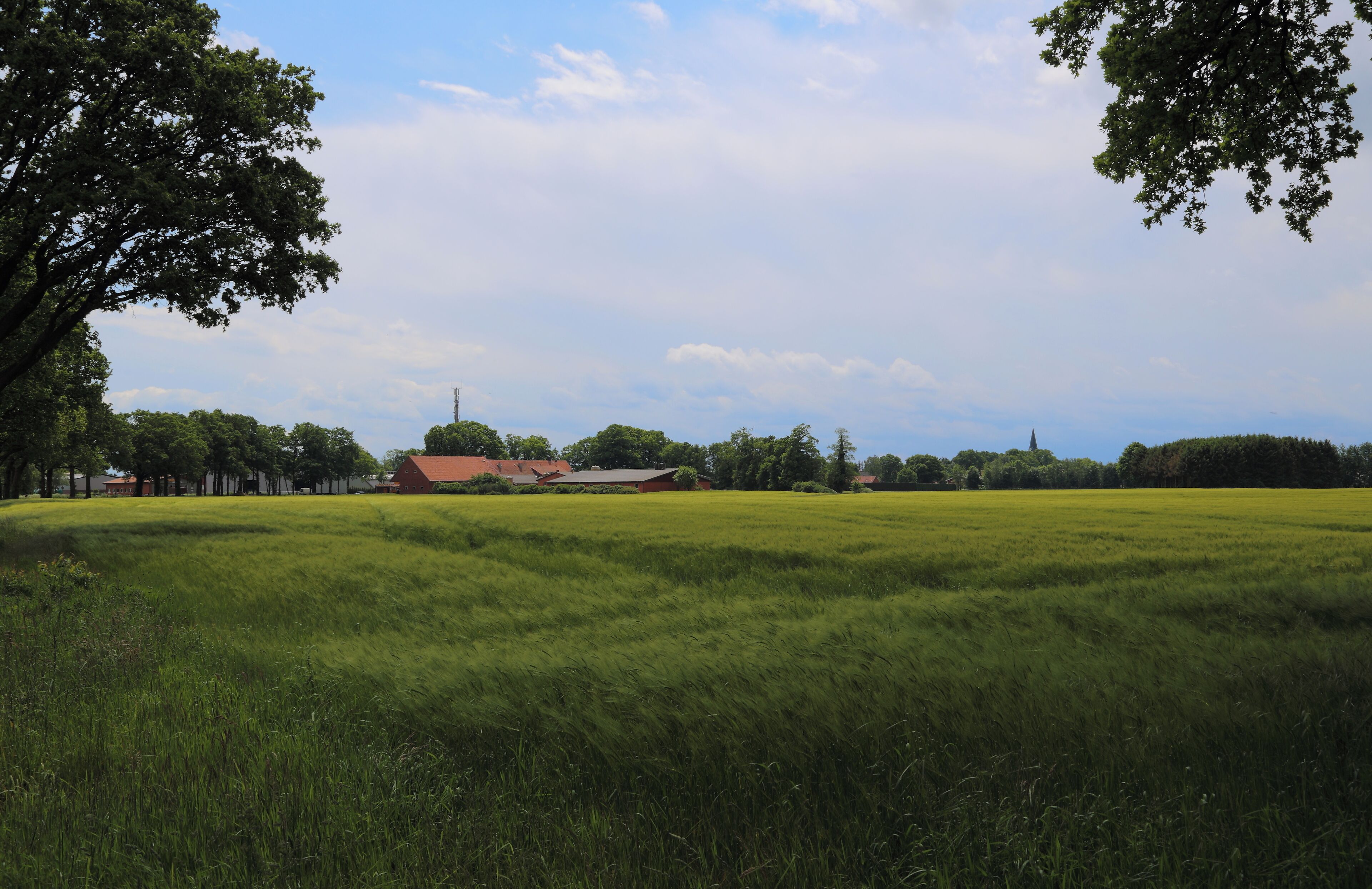 A green field with a red-roofed building and trees in the background.