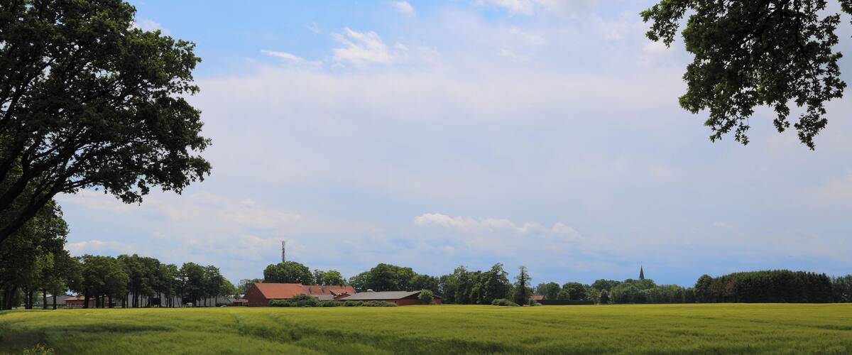 A green field with a red-roofed building and trees in the background.
