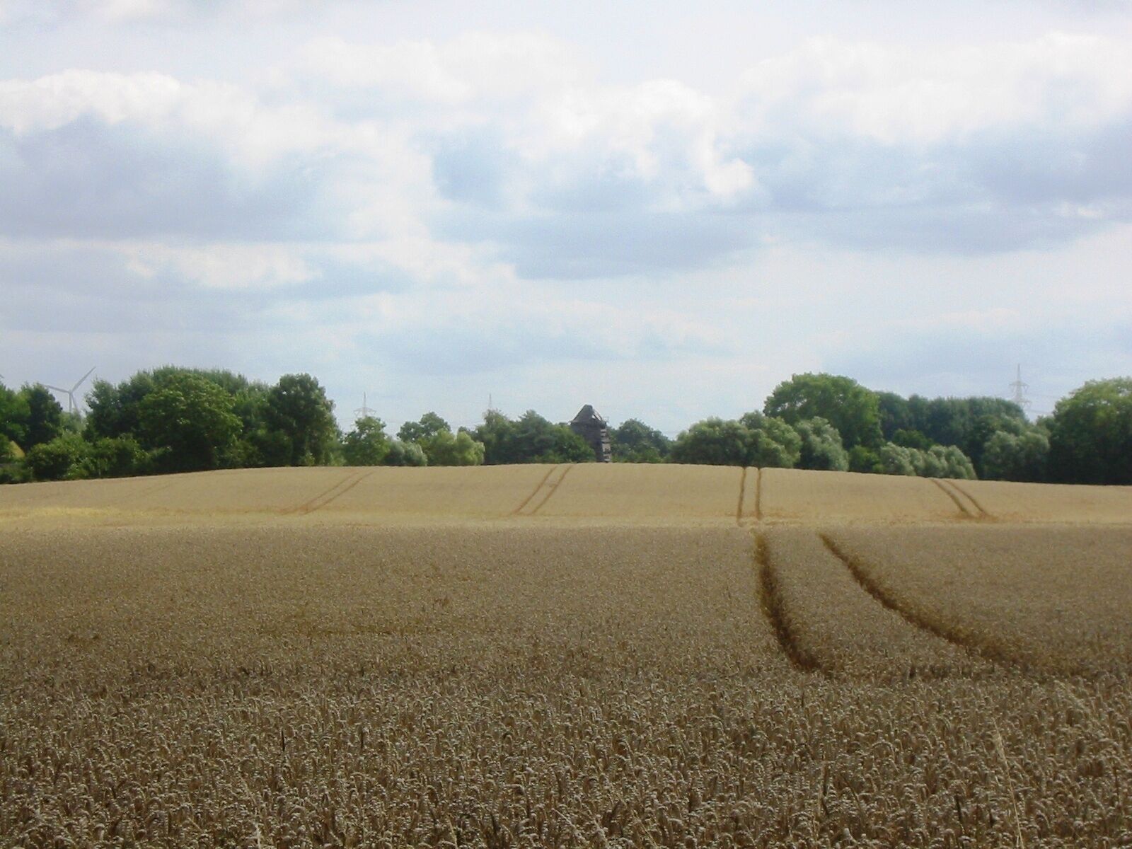 Denkmalgeschützte Windmühle in Klein Ernsthof, aufgenommen vom Mühlenberg, einer 24 Meter hohen Erhebung zwischen Klein Ernsthof und Stilow in der Gemeinde Brünzow, Landkreis Vorpommern-Greifswald.
