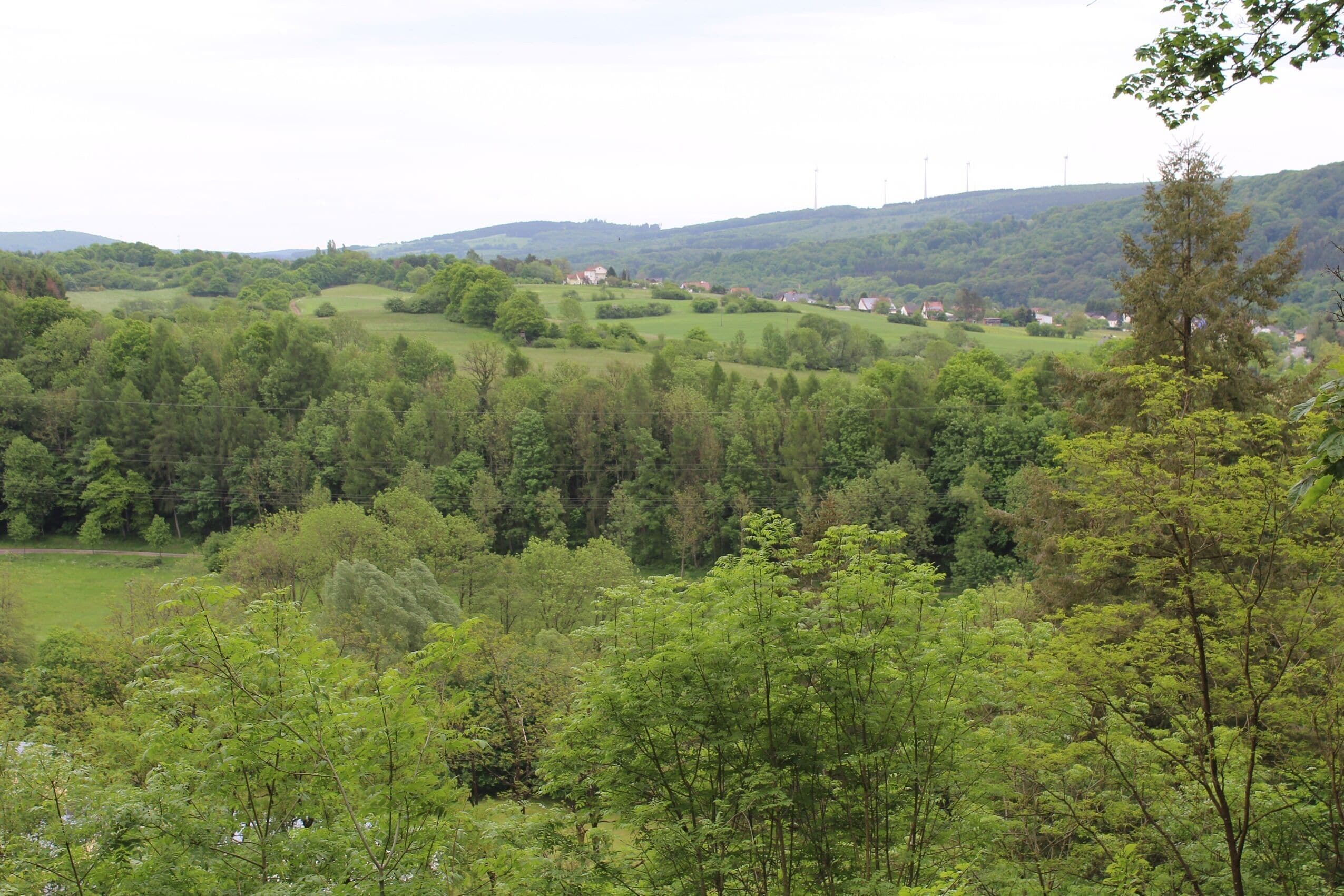 Ruined castle Dagstuhl, view to east