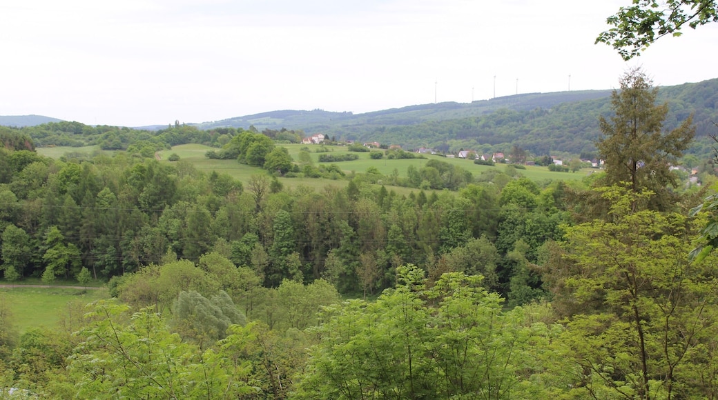 Ruined castle Dagstuhl, view to east