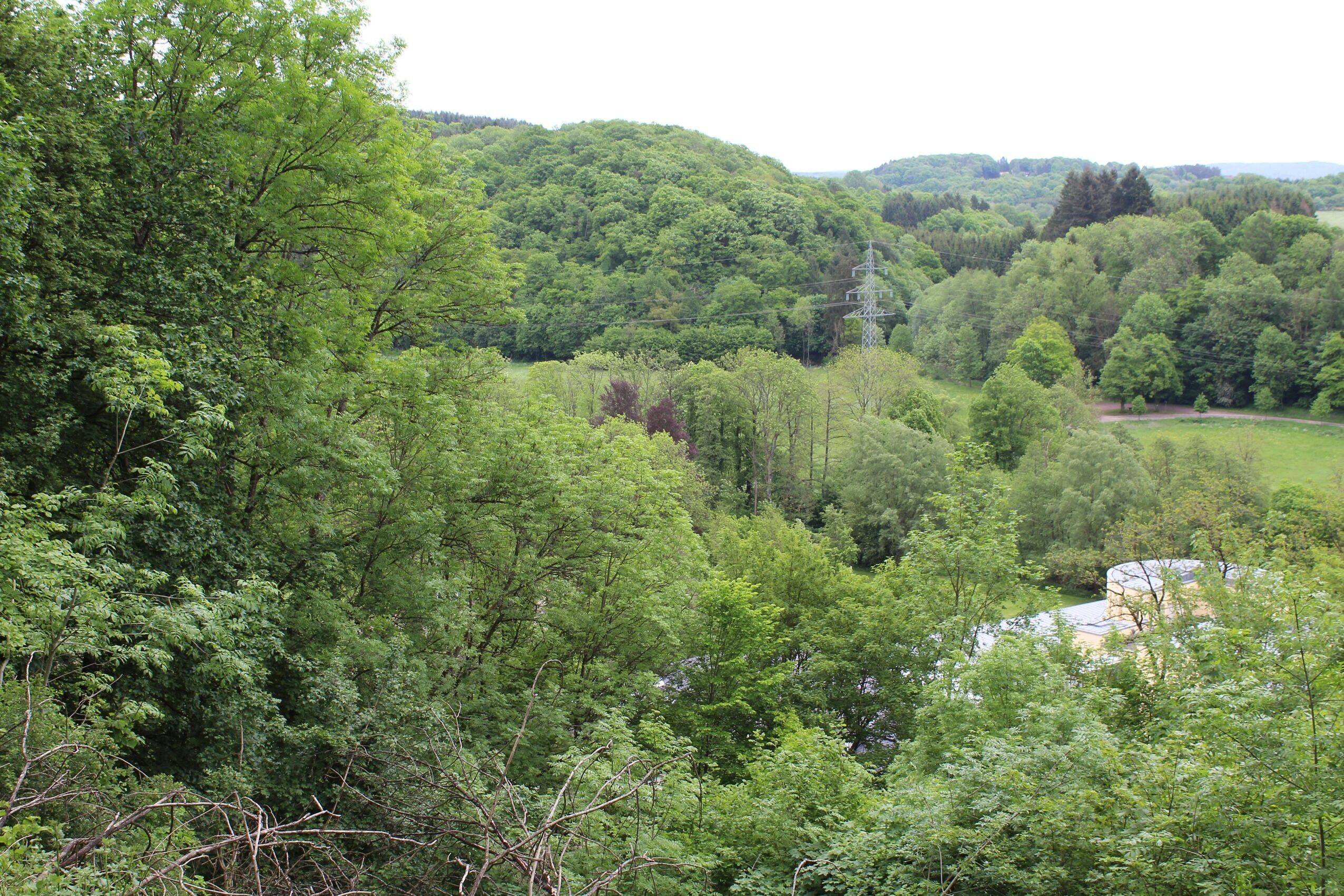 Ruined castle Dagstuhl, view to the Leibniz centre