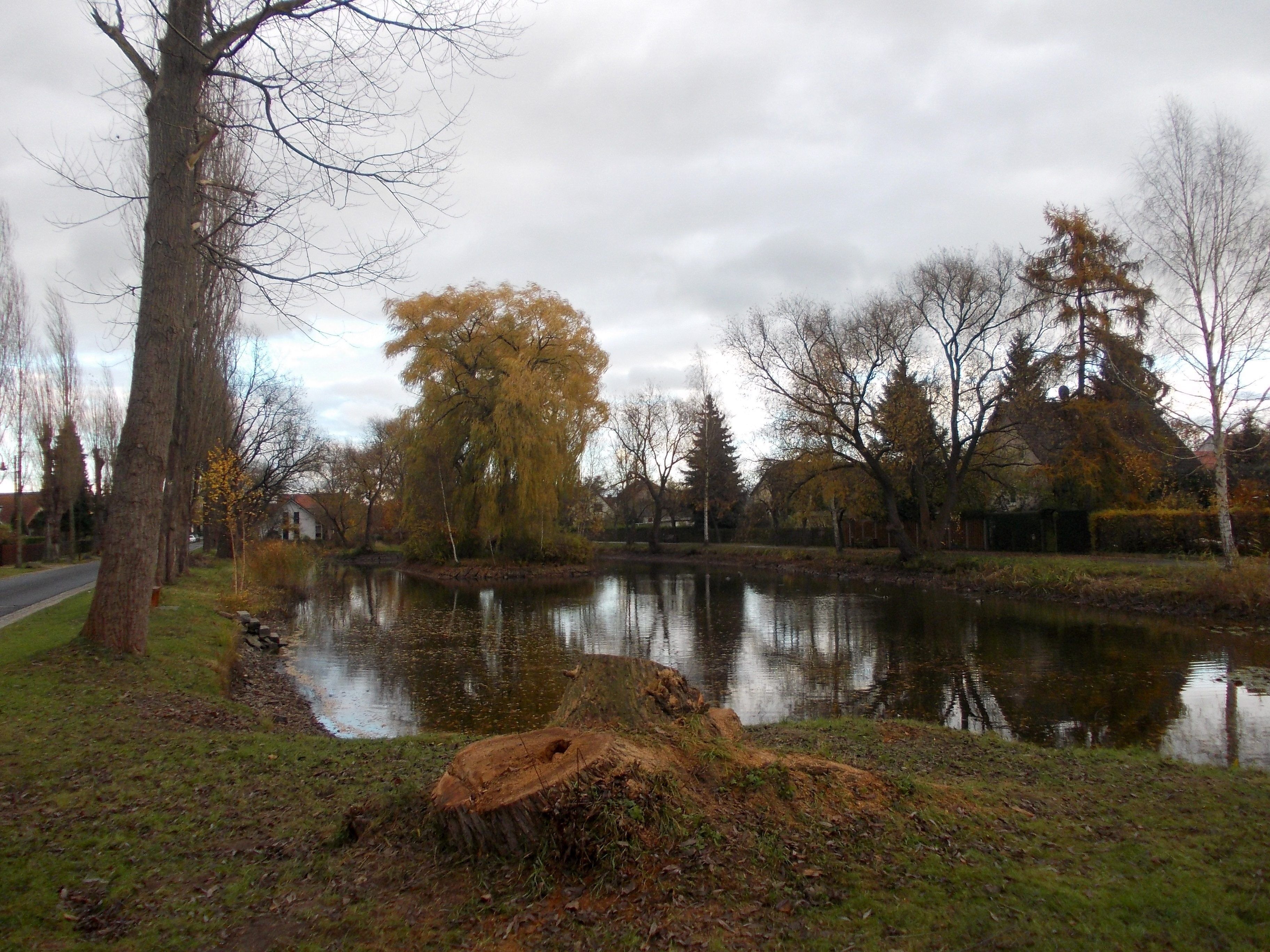Pond in Ammelshain (Naunhof, Leipzig district, Saxony)